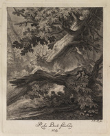 KG 01076
          <br/>
          Entwurf einiger Thiere. Vierter Theil. (16 bladen)
          <br/>
          <em>Ridinger, Johann Elias (1698-1767)</em>